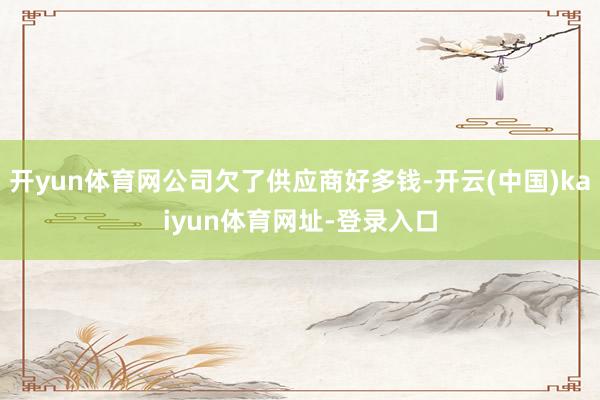 开yun体育网公司欠了供应商好多钱-开云(中国)kaiyun体育网址-登录入口