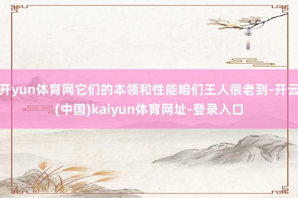 开yun体育网它们的本领和性能咱们王人很老到-开云(中国)kaiyun体育网址-登录入口