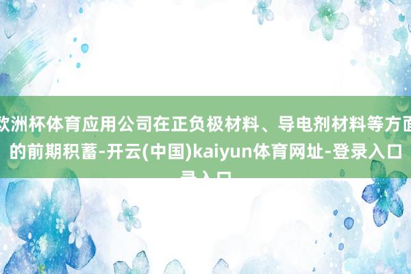 欧洲杯体育应用公司在正负极材料、导电剂材料等方面的前期积蓄-开云(中国)kaiyun体育网址-登录入口