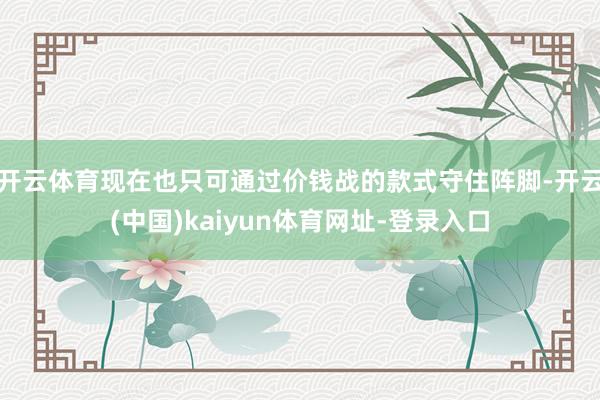 开云体育现在也只可通过价钱战的款式守住阵脚-开云(中国)kaiyun体育网址-登录入口