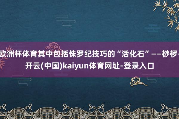 欧洲杯体育其中包括侏罗纪技巧的“活化石”——桫椤-开云(中国)kaiyun体育网址-登录入口
