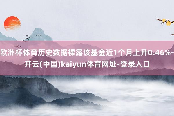 欧洲杯体育历史数据裸露该基金近1个月上升0.46%-开云(中国)kaiyun体育网址-登录入口