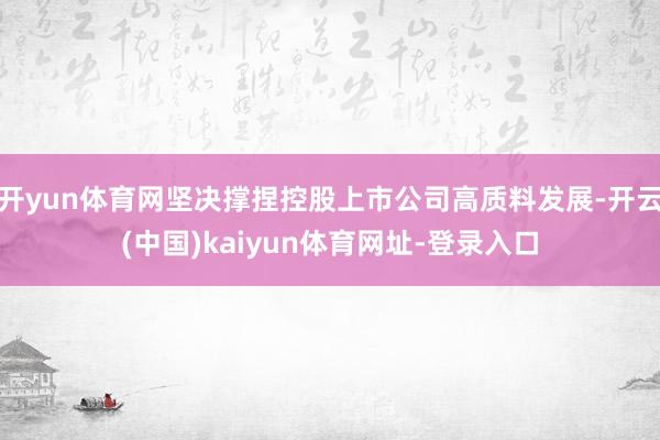 开yun体育网坚决撑捏控股上市公司高质料发展-开云(中国)kaiyun体育网址-登录入口