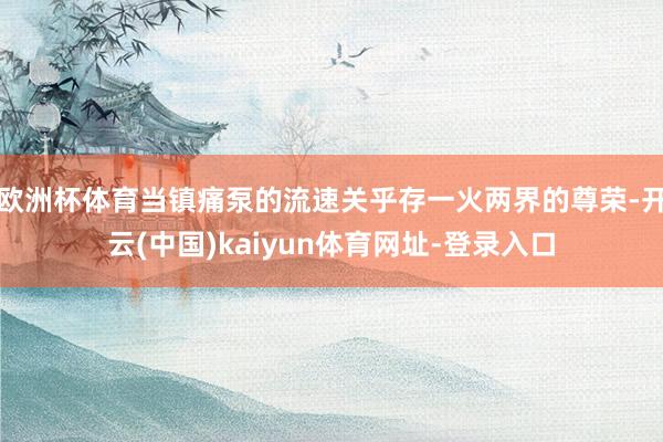 欧洲杯体育当镇痛泵的流速关乎存一火两界的尊荣-开云(中国)kaiyun体育网址-登录入口