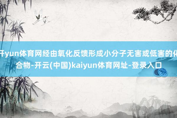 开yun体育网经由氧化反馈形成小分子无害或低害的化合物-开云(中国)kaiyun体育网址-登录入口
