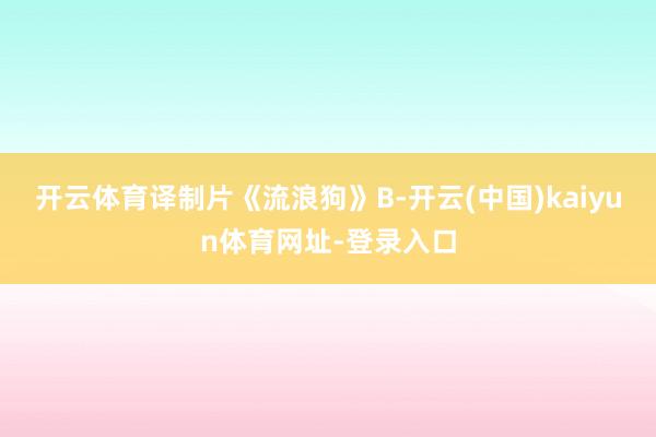 开云体育译制片《流浪狗》B-开云(中国)kaiyun体育网址-登录入口