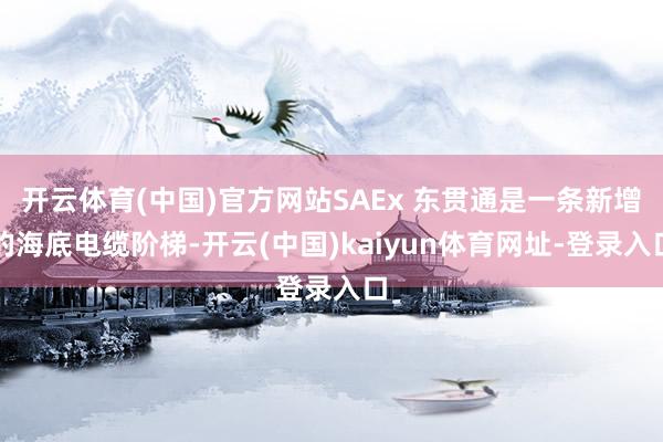开云体育(中国)官方网站SAEx 东贯通是一条新增的海底电缆阶梯-开云(中国)kaiyun体育网址-登录入口