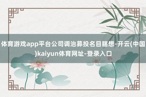 体育游戏app平台公司调治募投名目瞎想-开云(中国)kaiyun体育网址-登录入口