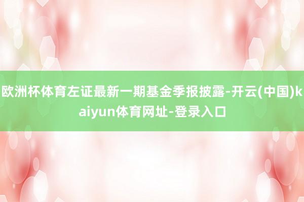 欧洲杯体育左证最新一期基金季报披露-开云(中国)kaiyun体育网址-登录入口