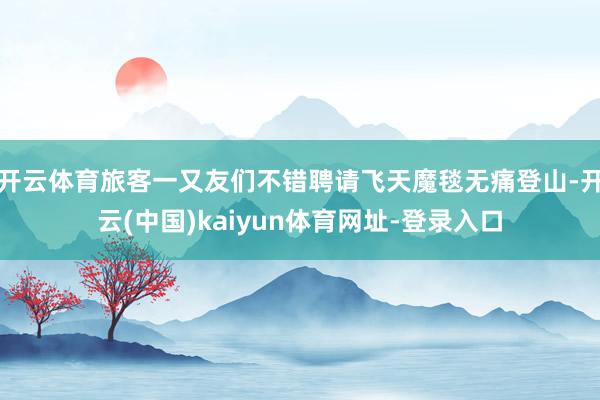 开云体育旅客一又友们不错聘请飞天魔毯无痛登山-开云(中国)kaiyun体育网址-登录入口