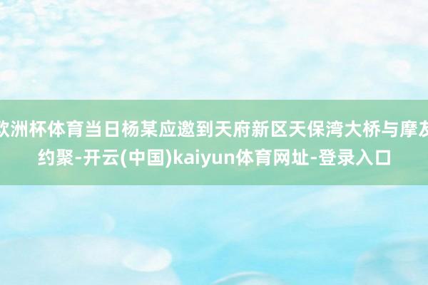 欧洲杯体育当日杨某应邀到天府新区天保湾大桥与摩友约聚-开云(中国)kaiyun体育网址-登录入口