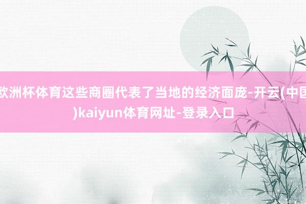 欧洲杯体育这些商圈代表了当地的经济面庞-开云(中国)kaiyun体育网址-登录入口
