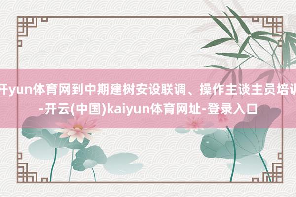 开yun体育网到中期建树安设联调、操作主谈主员培训-开云(中国)kaiyun体育网址-登录入口