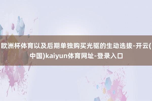 欧洲杯体育以及后期单独购买光驱的生动选拔-开云(中国)kaiyun体育网址-登录入口