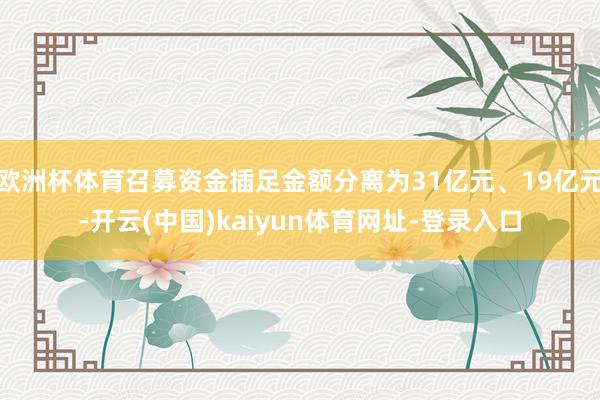 欧洲杯体育召募资金插足金额分离为31亿元、19亿元-开云(中国)kaiyun体育网址-登录入口