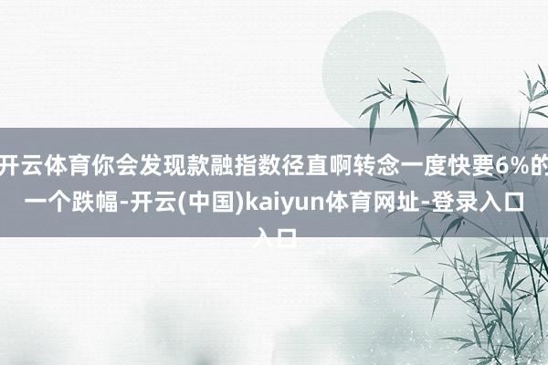 开云体育你会发现款融指数径直啊转念一度快要6%的一个跌幅-开云(中国)kaiyun体育网址-登录入口