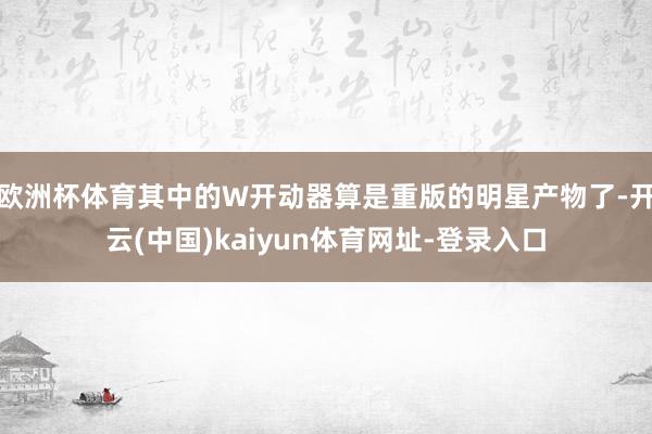 欧洲杯体育其中的W开动器算是重版的明星产物了-开云(中国)kaiyun体育网址-登录入口